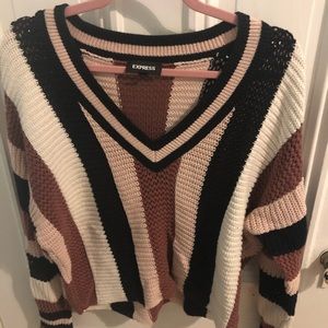 Express V-Neck Sweater